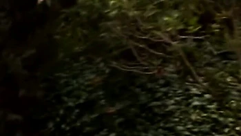 Wet sugar's handjob smut