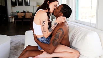 N2 The Gene Pool Black and Ebony