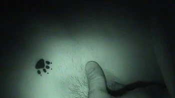 Night blowjob: Amateur, Chaturbate  Teen Porn