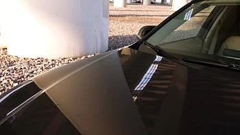 Young Pussy Paradise - Vivian Grace