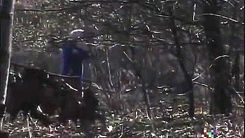 Terrore Nel Bosco (1998) Restored With Sheila Stone, Remigio Zampa And Vivienne Fovea