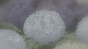 Watch comely bird's xxx