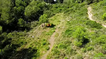 Drone catches young couple fucking outdoors