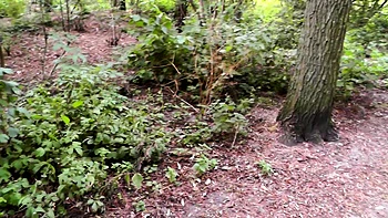 Brunette Teen Gives Risky POV Handjob Outdoors