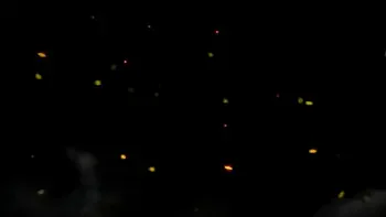 Quadruple POV Ass Worship And Butt Drops of Mistresses Kira, Sofi, Dina, Agma